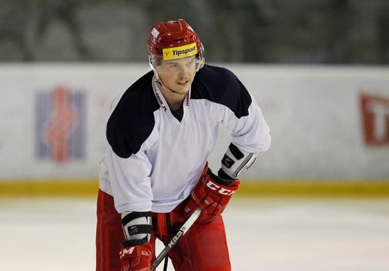 Ice Hockey. Poland national team. Training. 14.04.2015