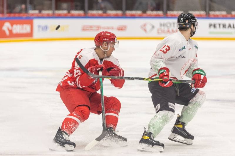 Ice Hockey. Friendly Match. Poland - Hungary. 20.04.2023