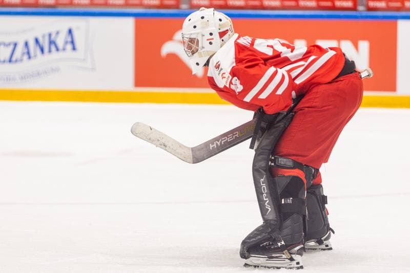 Ice Hockey. Friendly Match. Poland - Hungary. 20.04.2023