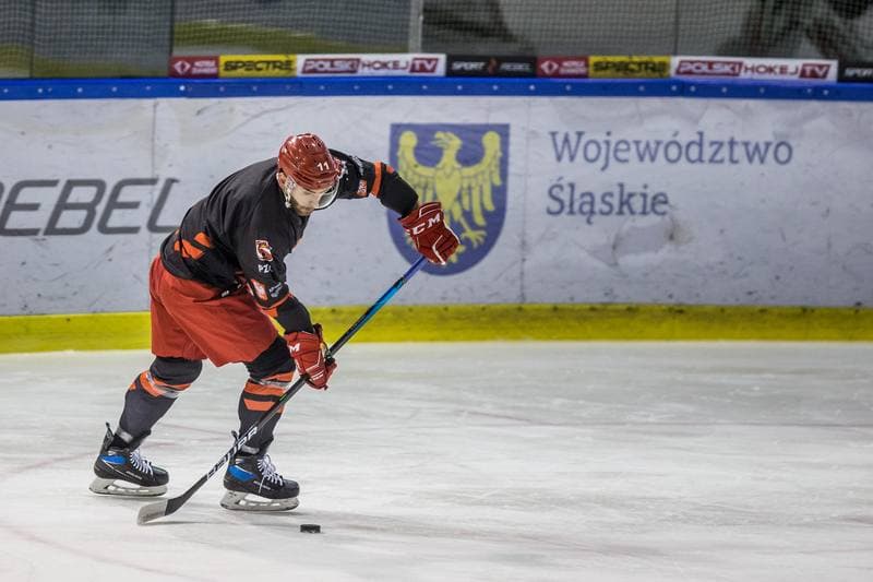 Ice Hockey. Poland national team. Training. 13.04.2021