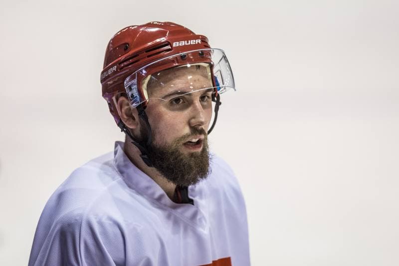 Ice Hockey. Poland national team. Training. 13.04.2021