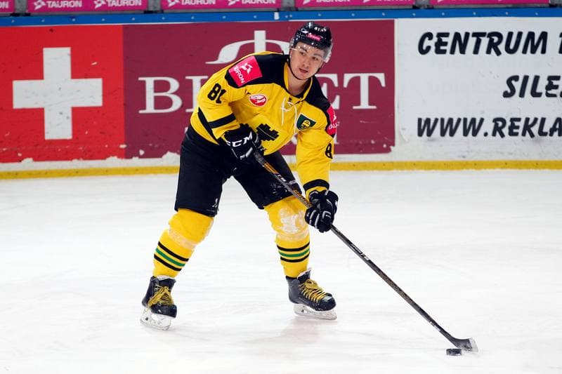 Ice Hockey. Polska Hokej Liga. Tauron KH GKS Katowice - MH Automatyka Gdansk. 10.01.2017