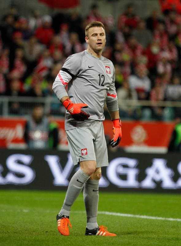 Football. International Friendly. Poland - Czech Republic. 17.11.2015