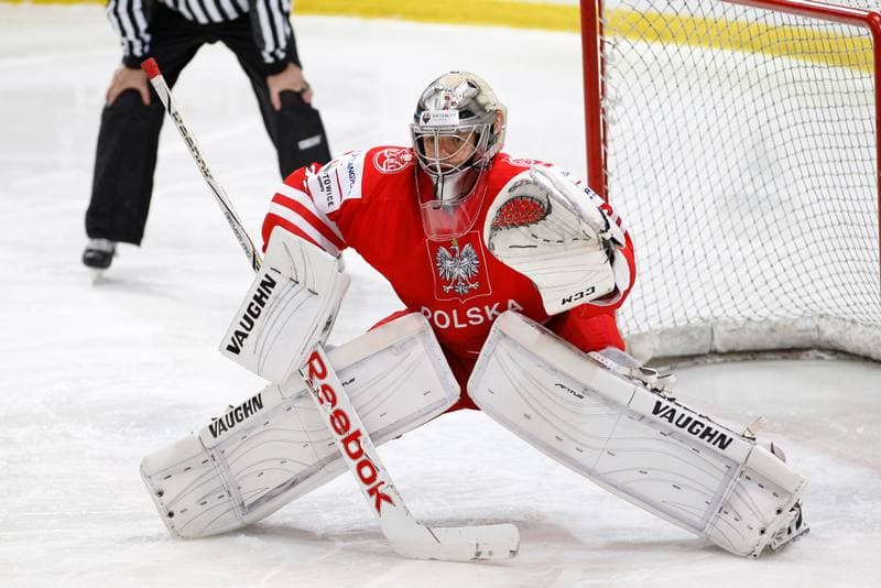 Ice Hockey. EIHC. Kazakhstan - France. 17.12.2015