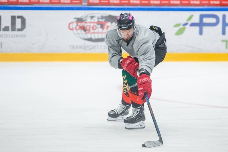 Ice Hockey. GKS Tychy. Training. 24.07.2023
