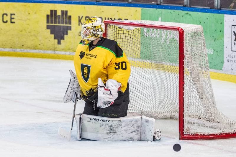 Ice Hockey. PHL. GKS Katowice - Lotos PKH Gdansk. 15.11.2019