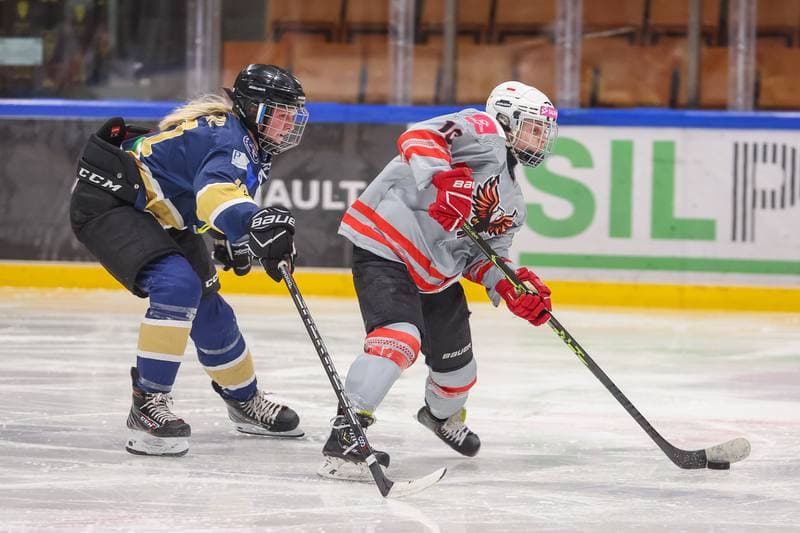 Ice Hockey. EWHL. TAURON Metropolia Silesia - KSV Neuberg Highlanders. 30.09.2023