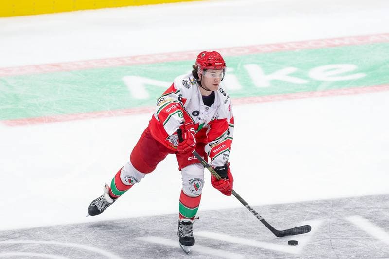 Ice Hockey. Tauron Hokej Liga. Zaglebie Sosnowiec - GKS Tychy. 06.10.2023