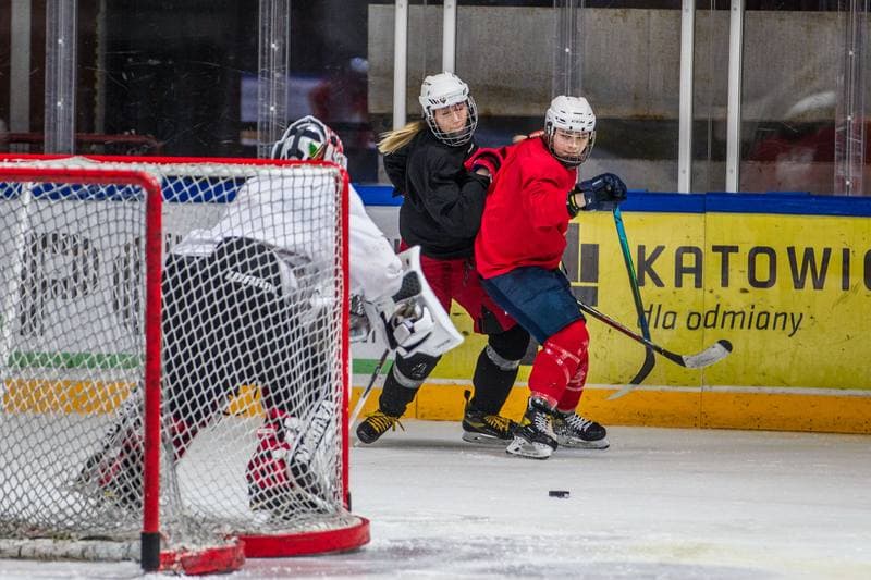Ice Hockey. Poland national team. Training. 04.01.2022