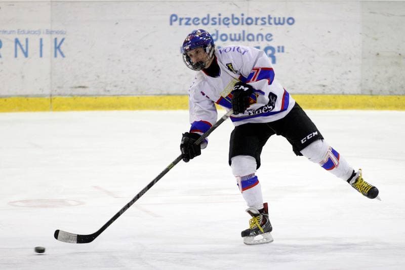 Ice Hockey. PLHK. Polonia Bytom - Atomowki Tychy. 27.01.2017