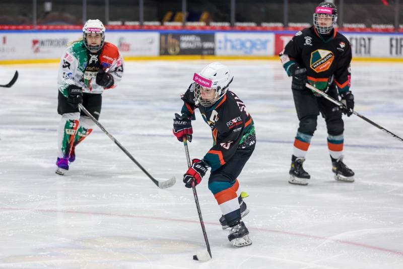 Ice Hockey. Tauron Liga. Atomowki GKS Tychy - Kojotki Naprzod Janow. 29.10.2023