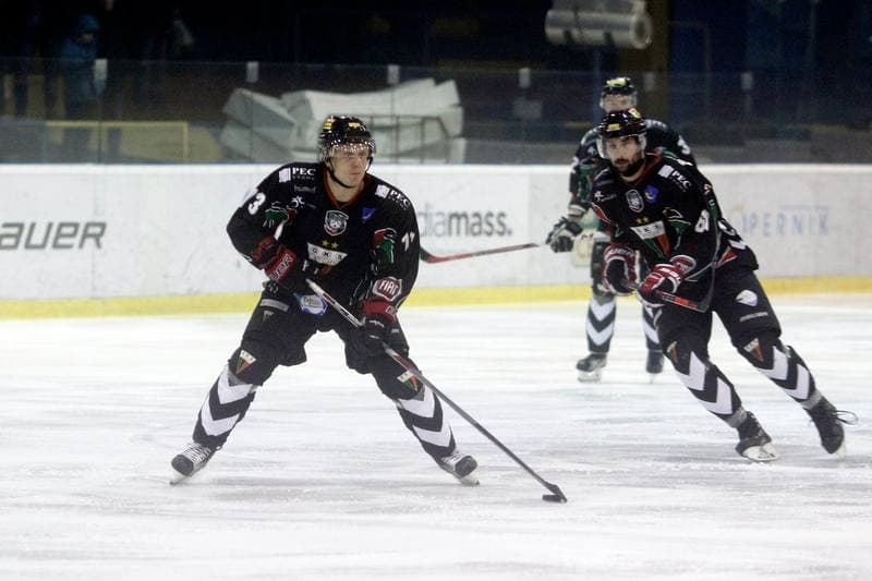 Ice Hockey. Polska Hokej Liga. Tempish Polonia Bytom - GKS Tychy. 15.02.2017