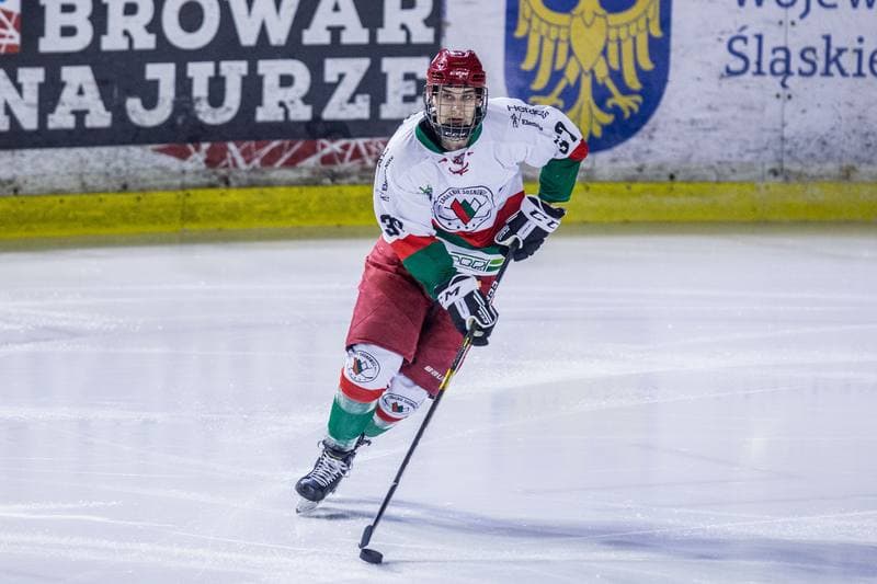 Ice Hockey. PHL. Zaglebie Sosnowiec - KH Energa Torun. 28.01.2022