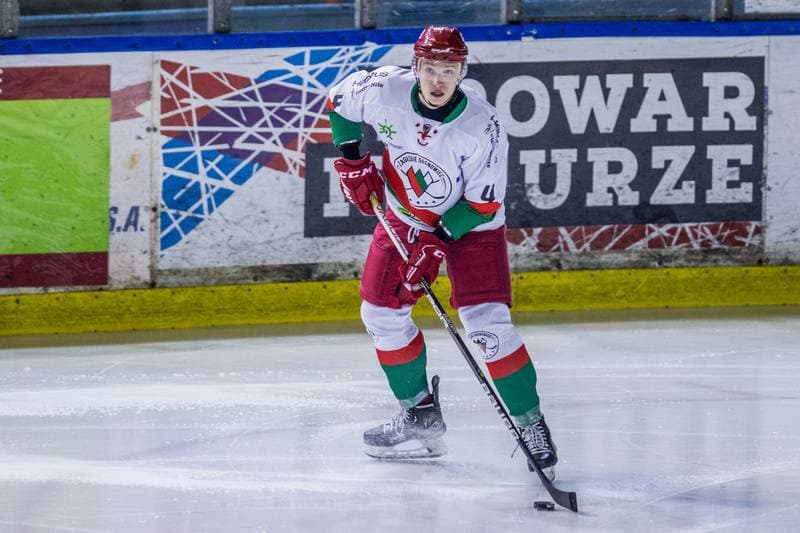 Ice Hockey. PHL. Zaglebie Sosnowiec - KH Energa Torun. 28.01.2022
