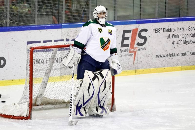 Ice Hockey. I Liga. Naprzod Janow - Hokej Poznan. 18.02.2017