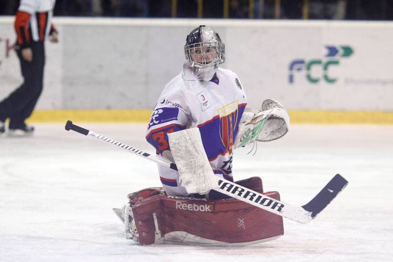 Ice Hockey. Polska Hokej Liga. Tempish Polonia Bytom - Orlik Opole. 21.02.2017