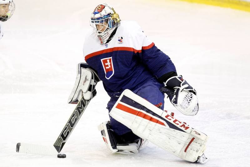 Ice Hockey. Women's World Championship. Slovakia - China. 11.04.2017