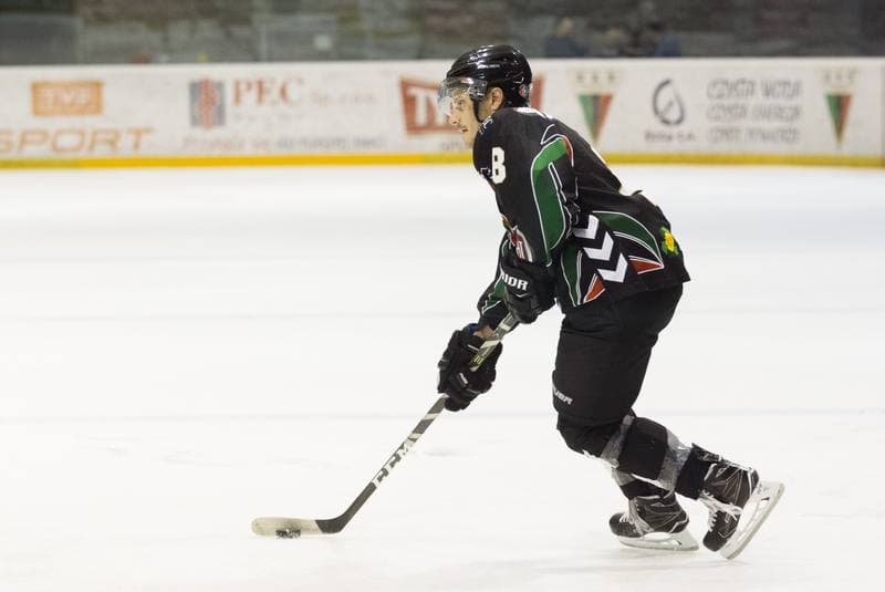 Ice Hockey. Sparing. GKS Tychy - Polonia Bytom. 08.08.2017