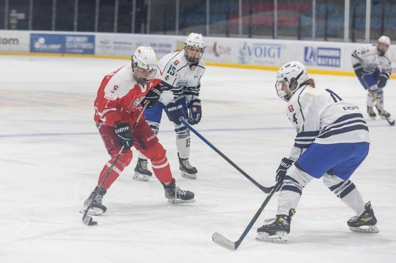 Ice Hockey. EWHL. Orlice Bytom - SKP Bratislava. 19.11.2022