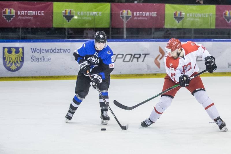 Ice Hockey. Three Seas Tournament. Poland - Estonia. 18.04.2021