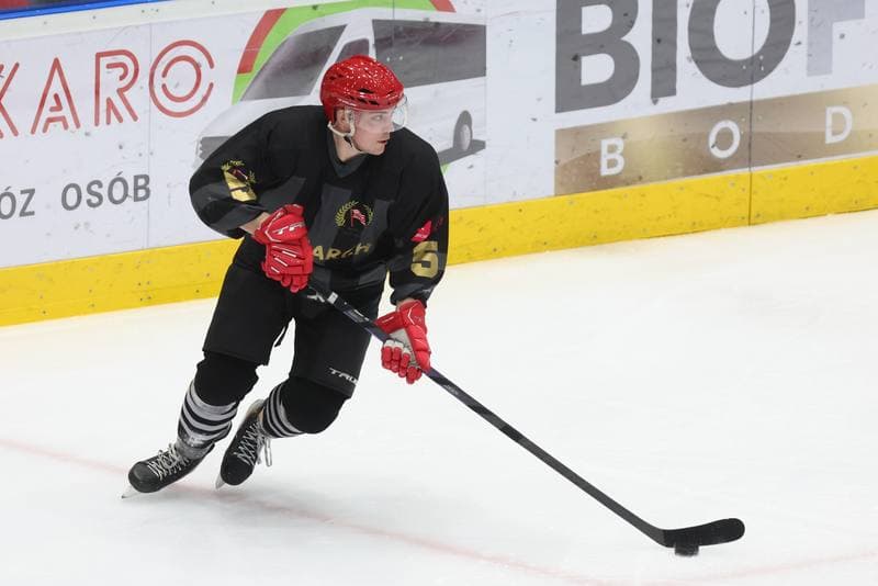 Ice Hockey. Tauron Hokej Liga. Zaglebie Sosnowiec - Comarch Cracovia. 19.11.2023