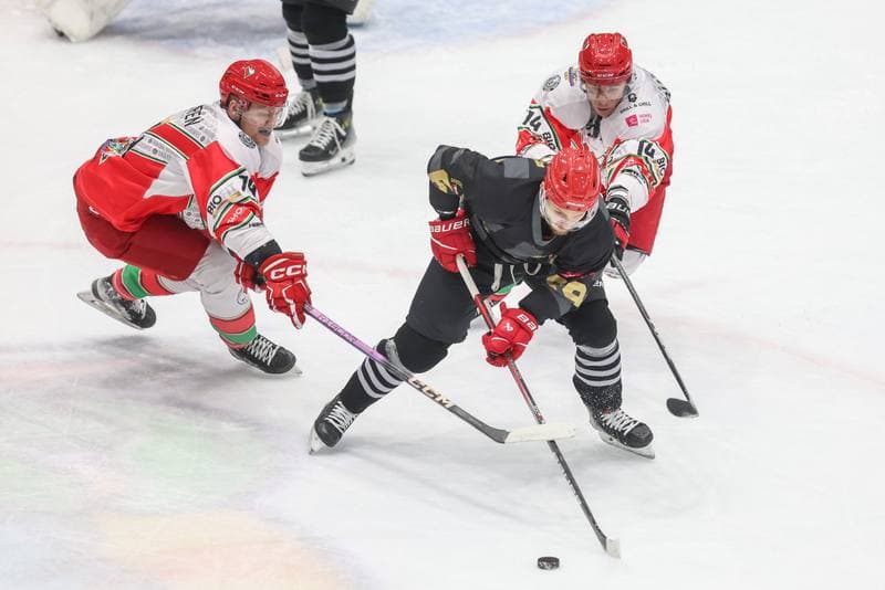 Ice Hockey. Tauron Hokej Liga. Zaglebie Sosnowiec - Comarch Cracovia. 19.11.2023