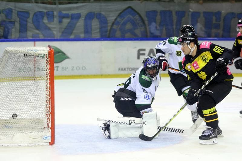 Ice Hockey. Tauron Hokej Liga. Naprzod Janow - Tauron KH GKS Katowice. 24.09.2017