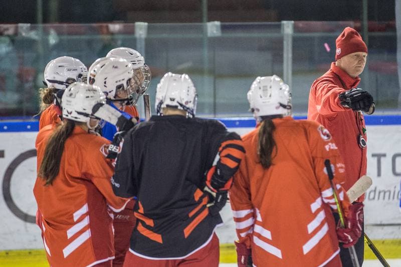 Ice Hockey. Poland national team. Training. 31.03.2022
