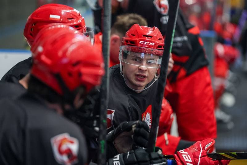 Ice Hockey. Poland national team. Training. 17.04.2023