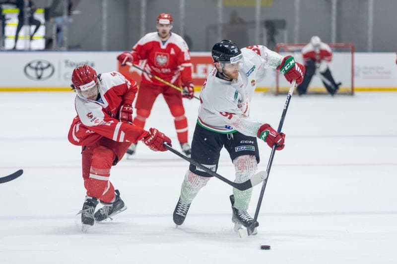 Ice Hockey. Friendly Match. Poland - Hungary. 21.04.2023