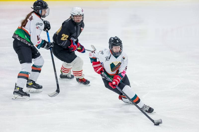Ice Hockey. Tauron Liga Kobiet. Kojotki Naprzod Janow - KS Cracovia 1906. 17.12.2023