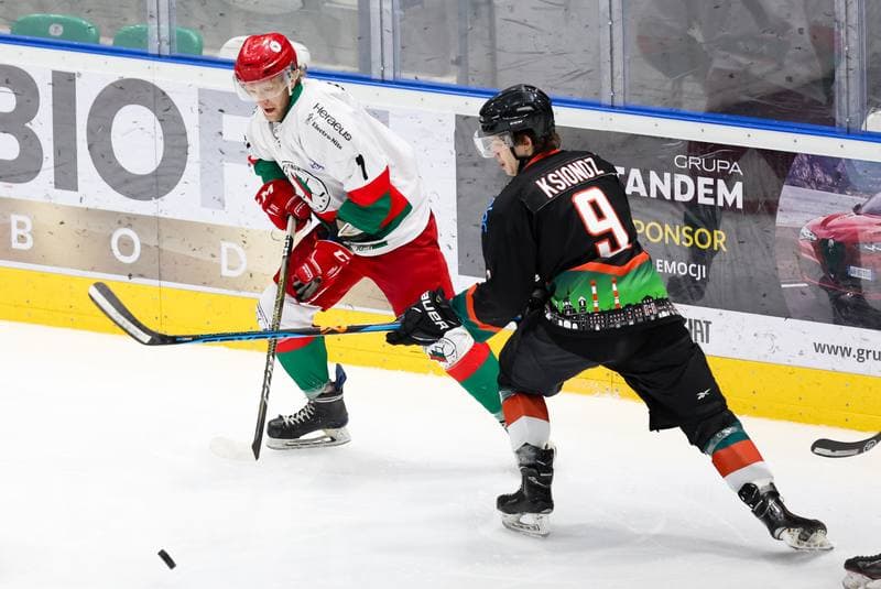 Ice Hockey. MHL. Zaglebie Sosnowiec - Naprzod Janow Katowice. 06.01.2024