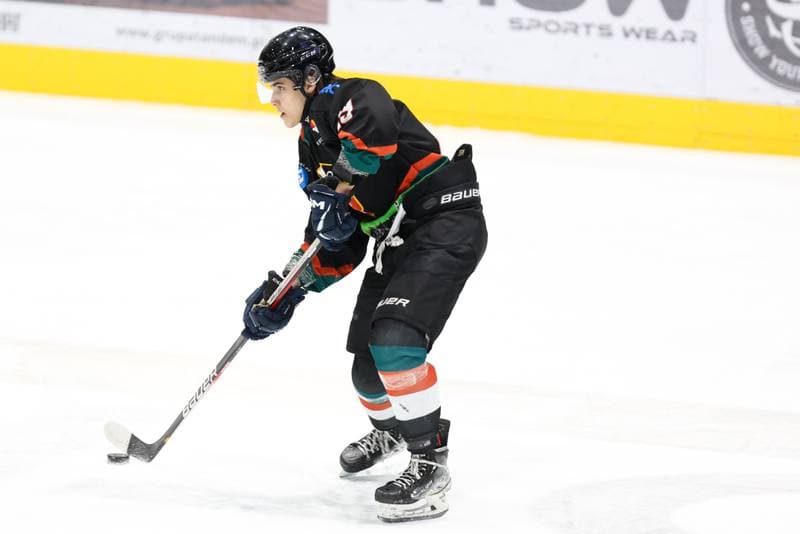 Ice Hockey. MHL. Zaglebie Sosnowiec - Naprzod Janow Katowice. 06.01.2024