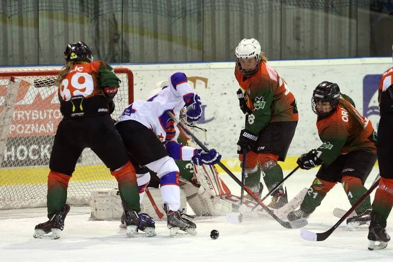 Ice Hockey. PLHK. Polonia Bytom - Naprzod Janow. 03.03.2018
