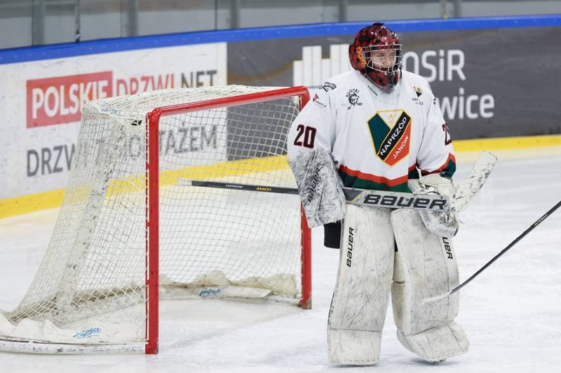 Ice Hockey. Tauron Liga Kobiet. Kojotki Naprzod Janow - Kozice Poznan. 20.01.2024