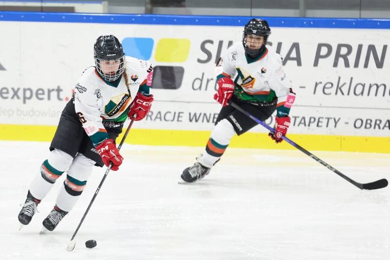 Ice Hockey. Tauron Liga Kobiet. Kojotki Naprzod Janow - Kozice Poznan. 20.01.2024
