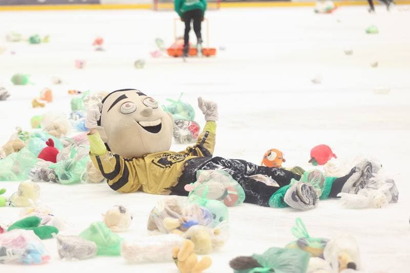 Ice Hockey. Tauron Hokej Liga. GKS Katowice - GKS Tychy. 28.01.2024