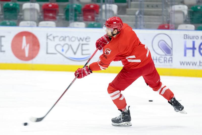 Ice Hockey. Poland national team. Training. 03.02.2024