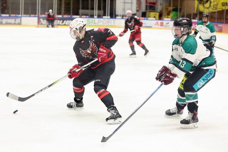Ice Hockey. EWHL. Tauron Metropolia Silesia - KEHV Lakers. 03.02.2024