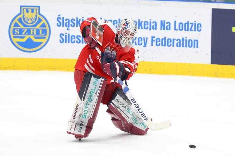 Ice Hockey. Olympic Qualification. Korea - Poland. 11.02.2024