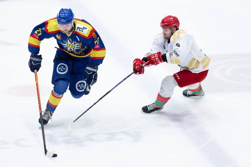 Ice Hockey. Tauron Hokej Liga. Zaglebie Sosnowiec - PZU Podhale Nowy Targ. 14.02.2024
