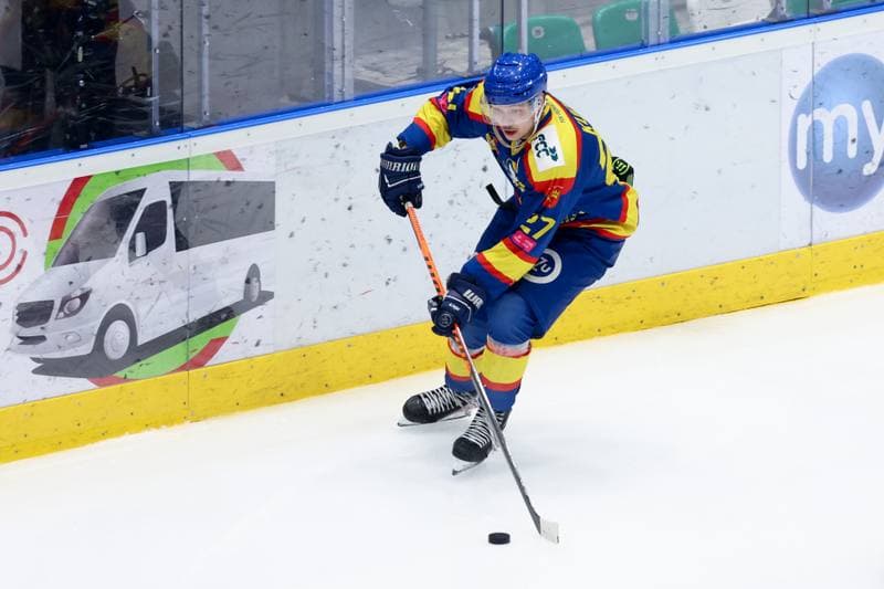 Ice Hockey. Tauron Hokej Liga. Zaglebie Sosnowiec - PZU Podhale Nowy Targ. 14.02.2024
