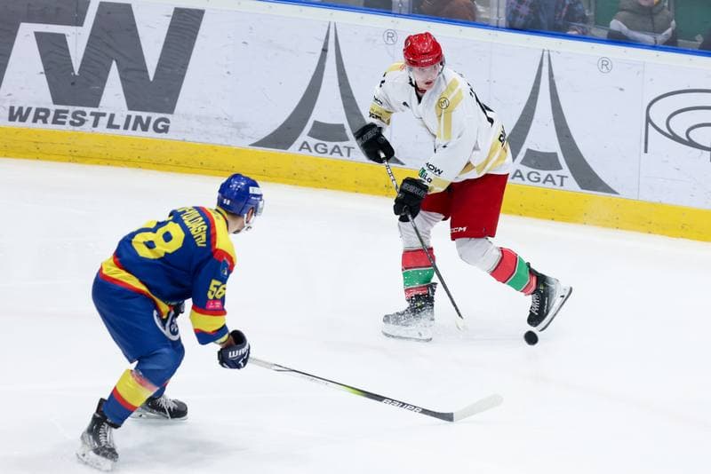 Ice Hockey. Tauron Hokej Liga. Zaglebie Sosnowiec - PZU Podhale Nowy Targ. 14.02.2024