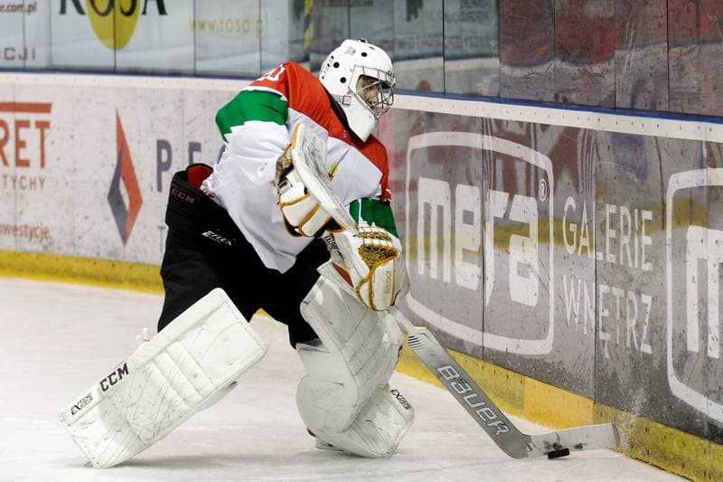 Ice Hockey. U20 World Championship Division 1B. Slovenia - Hungary. 12.12.2018