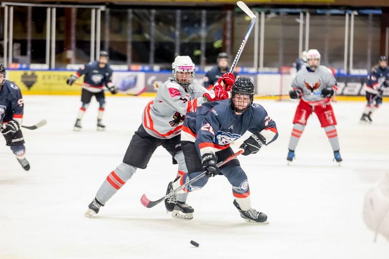 Ice Hockey. EWHL. Tauron Metropolia Silesia - Budapest Jegkorong Akademia. 22.10.2023