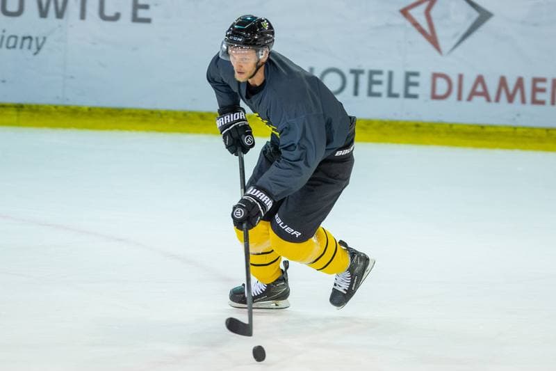 Ice Hockey. GKS Katowice. Training. 01.08.2022