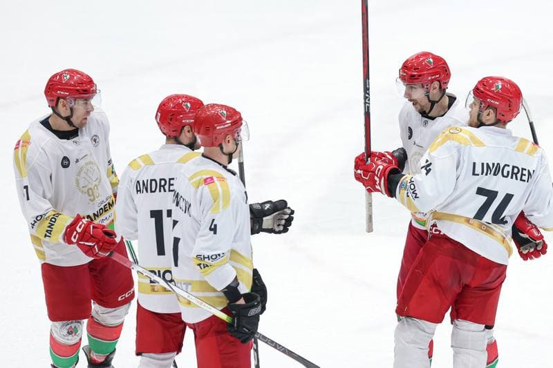 Ice Hockey. Tauron Hokej Liga. Zaglebie Sosnowiec - Marma Ciarko STS Sanok. 23.02.2024