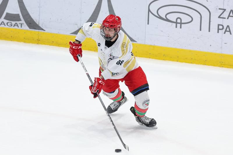 Ice Hockey. Tauron Hokej Liga. Zaglebie Sosnowiec - Marma Ciarko STS Sanok. 23.02.2024