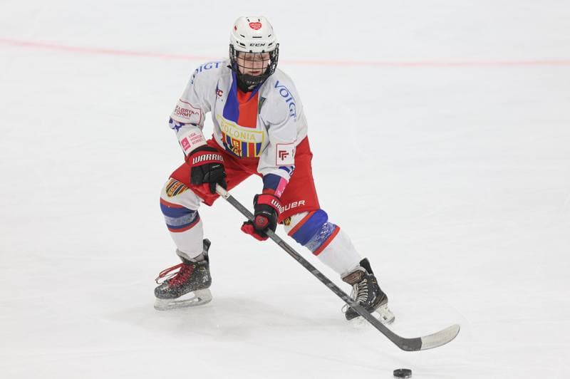 Ice Hockey. Tauron Liga Hokeja Kobiet. Polonia Bytom - UKKH Unia Oswiecim. 24.02.2024