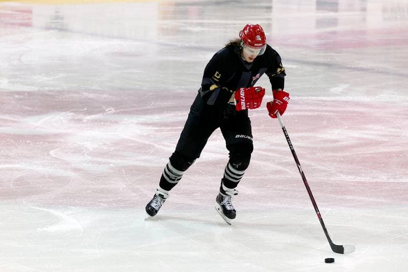 Ice Hockey. Tauron Hokej Liga. Tauron KH GKS Katowice - Comarch Cracovia. 17.01.2019